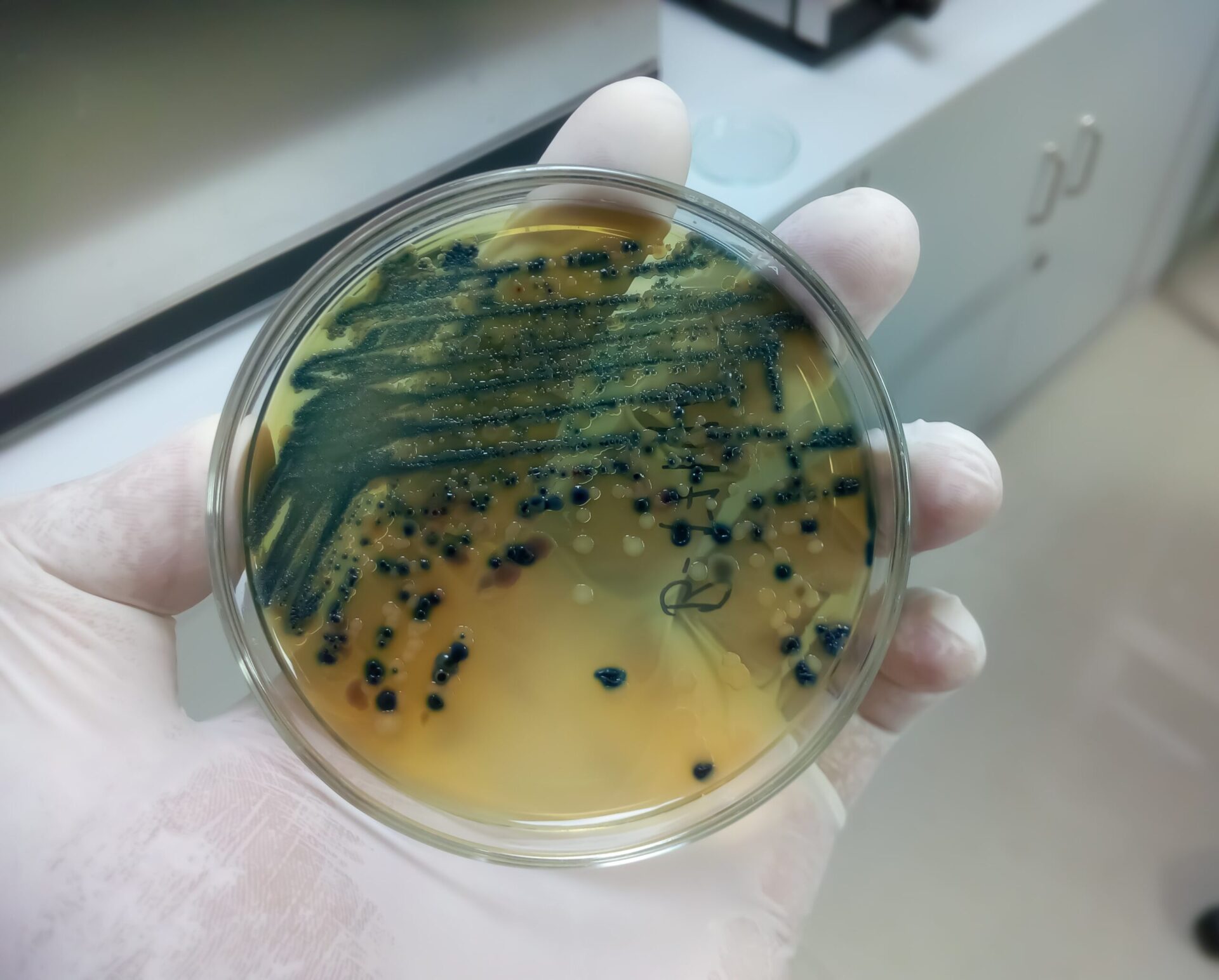 Mould spore air treatment