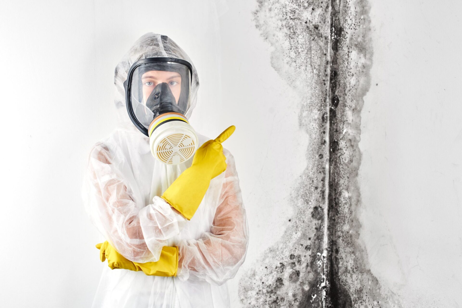 Mould inspection offer 